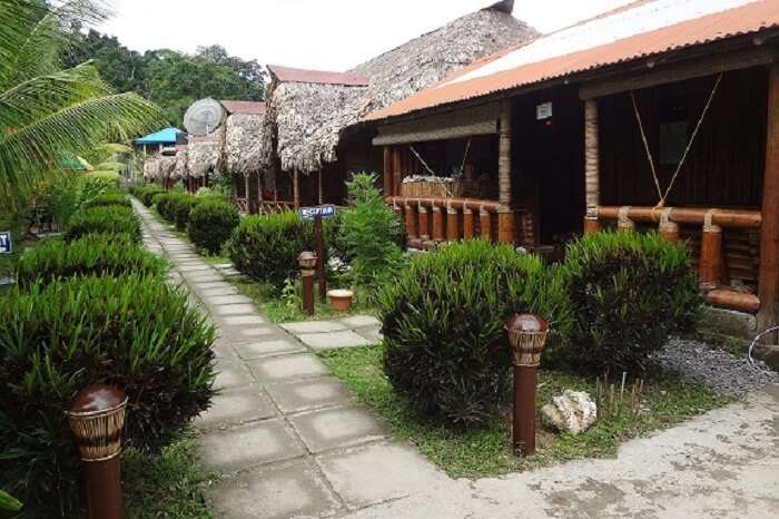 The luxurious cottages at the Blue Bird Resort in Havelock