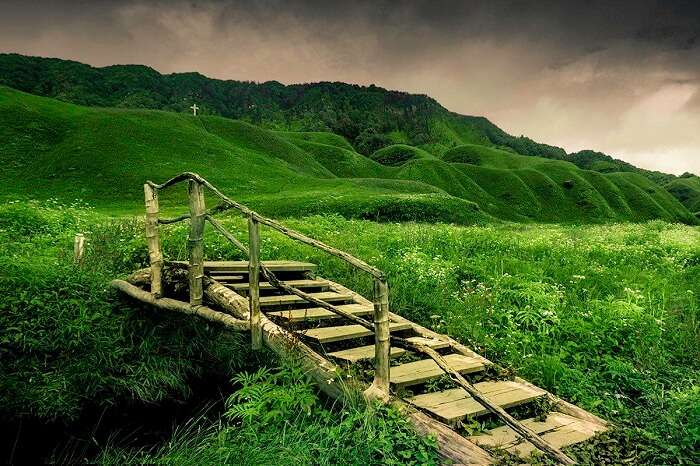 A bridge in the middle of the lush green Dzukou Valley in Nagaland