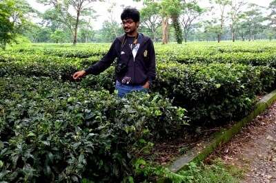 Rahul wandering in Tea Plantations