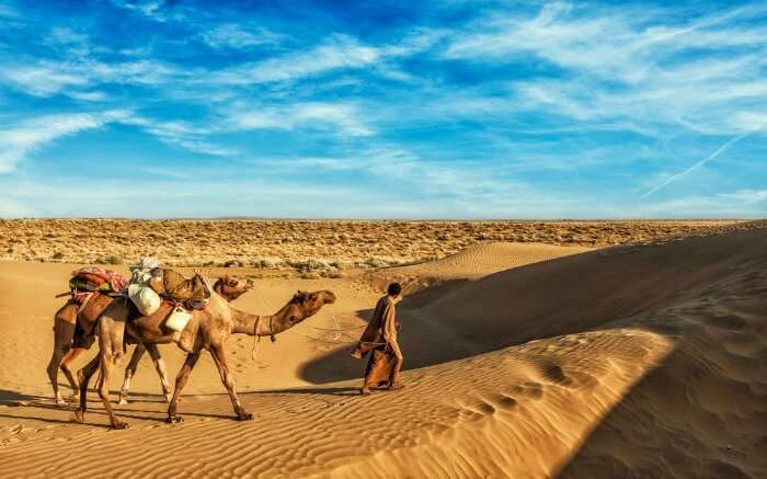 Desert in Jaisalmer