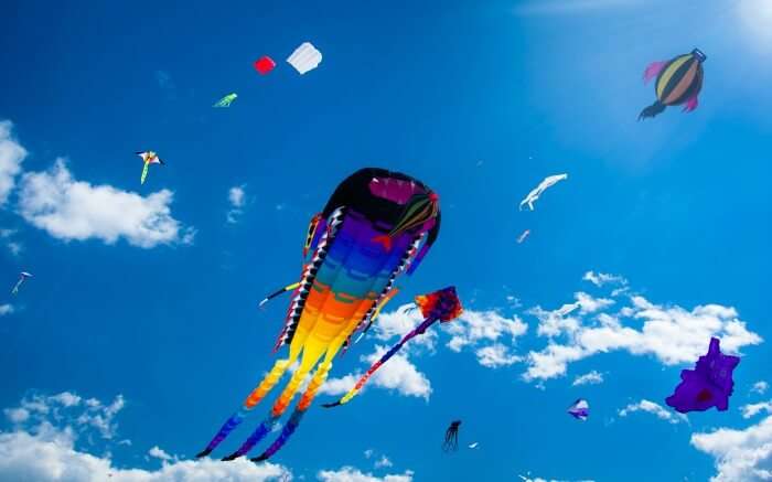 Colorful kites soaring high in International Kite Festival in Gujarat