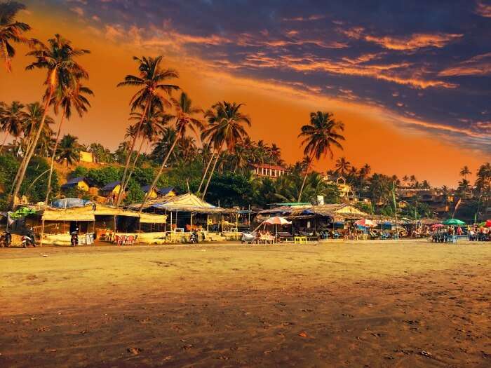 Beach shacks at Kozhikode Beach