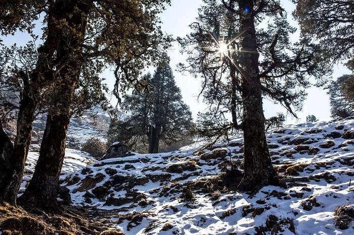 Chopta is among best places to visit in Uttarakhand in winter for nature lovers
