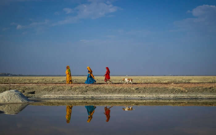 Local women walking beside the Sambhar Salt Lake