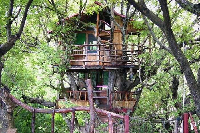 The Sanya Nanshan Treehouse accommodation in the Sanya city of Hainan
