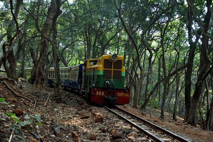 The Matheran Toy Train rambles through the forests in Maharashtra