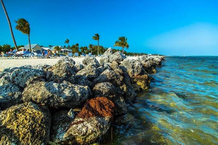 The rocky edge of the beach in Islamorada