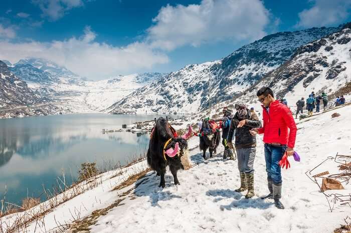 Tourists ready to take a yak ride at Tsomgo Lake in Sikkim