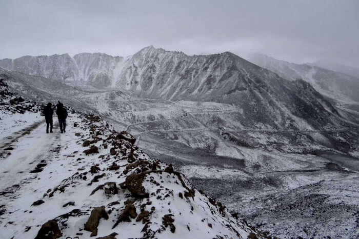 Hemis National Park in Ladakh covered with snow