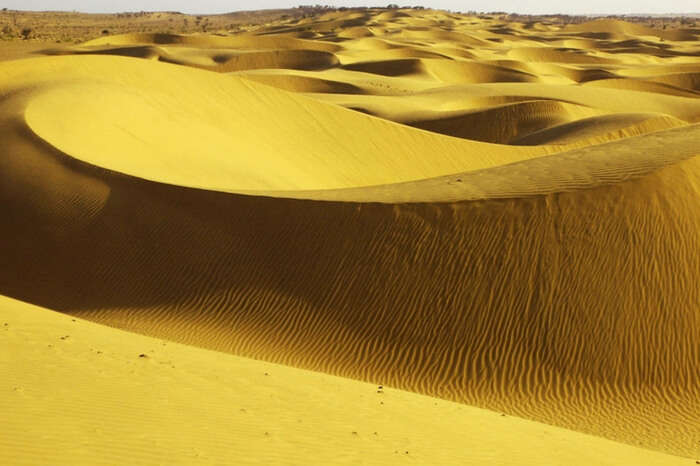 A close view of Sam Sand Dunes in Jaisalmer