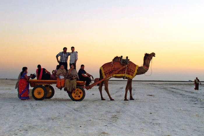 People enjoying camel cart ride in Rann of Kutch