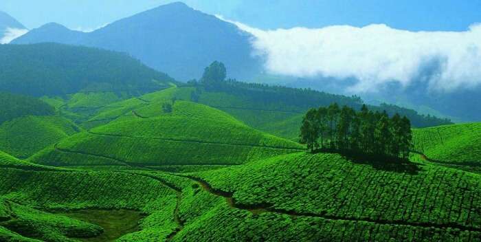 Lake and green meadows of Vagamon