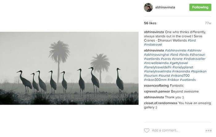 Cranes in Dhanauri wetlands in the morning