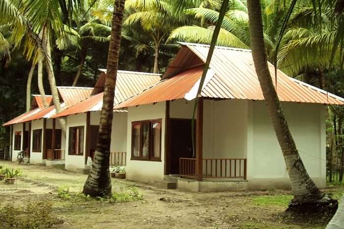 Numerous cottages lined up at the Cross Bill Beach Resort in Havelock