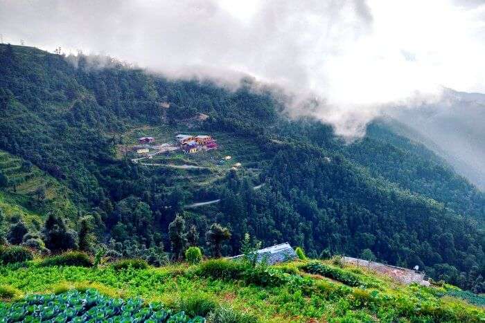 Hilly pastures of Dhanaulti and the mist