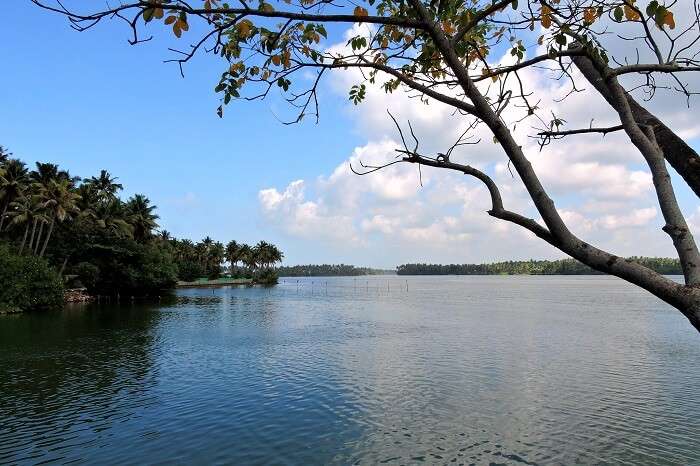 The serene view of the calm Paruvar Lake in Kerala