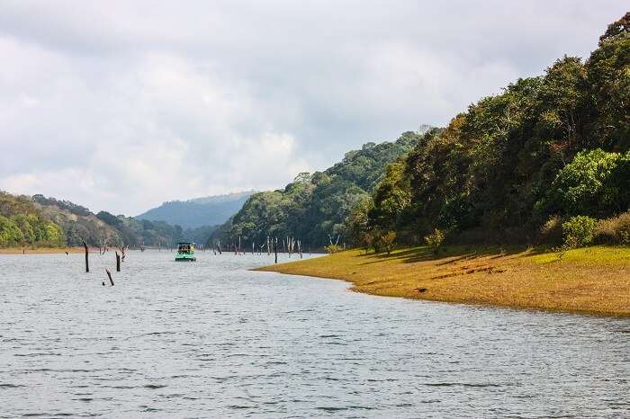 A shot of the calm Periyar Lake by the side of the Periyar Tiger Reserve in Kerala