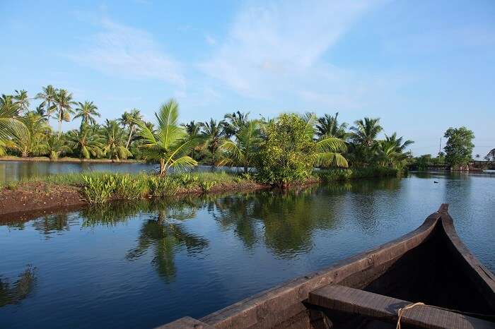 A shot from a wooden boat cruise in backwaters canals of Ashtamudi lake in Kerala