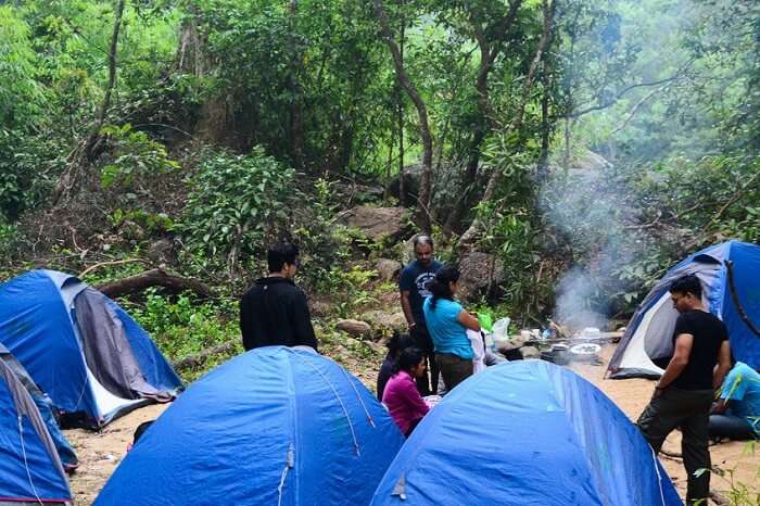 Adventure seekers from Bangalore camping by the river at Coorg