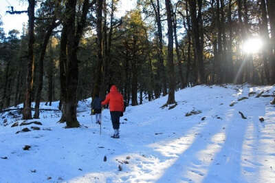Trekkers walk on the snow during the Nag Tibba winter trek
