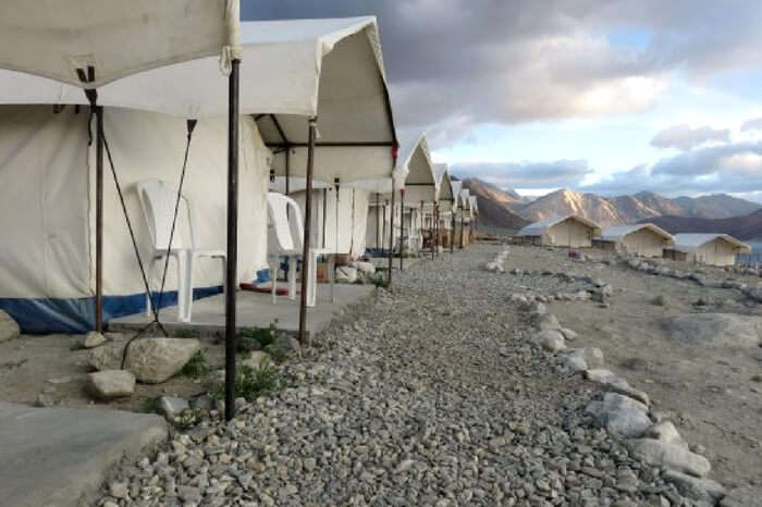 Camping made easy by Royal Camp in Leh