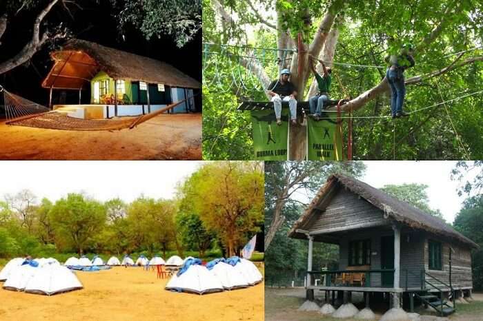 Different shots from the activities and stay options at Bheemeshwari camping site near Bangalore