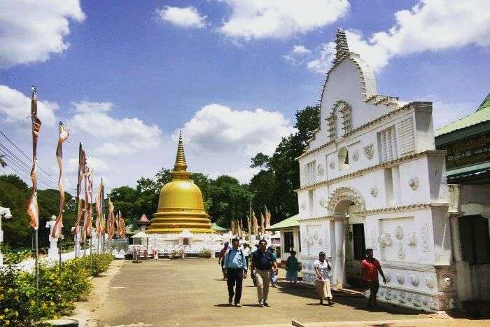 dambulla cave temple in dambulla