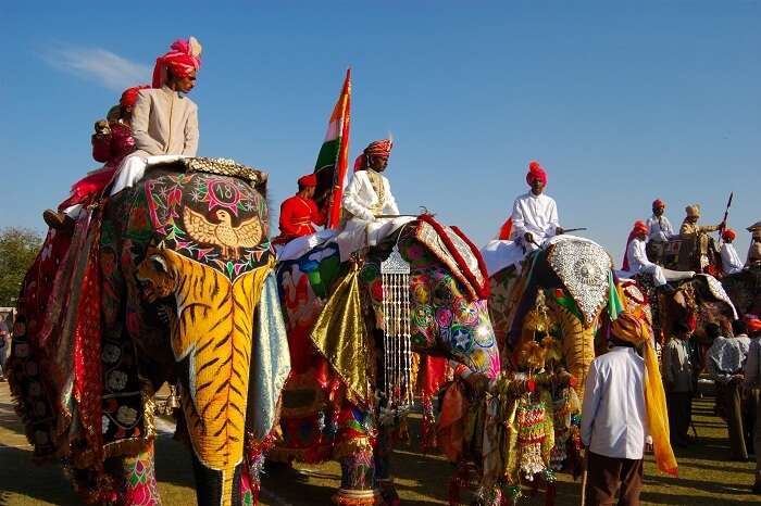 Decorated elephants standing at the inauguration of the Elephant Fair in Rajasthan