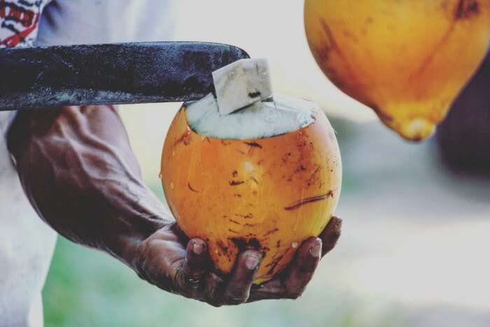 having tangy coconuts in sri lanka