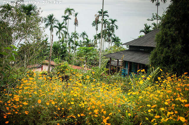 the-cleanest-village-in-asia-all-about-mawlynnong-in-2023