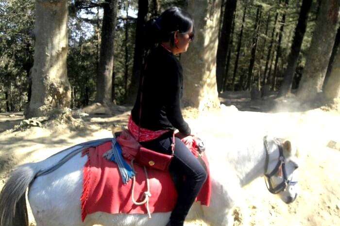 Going off road on a horse in Himachal