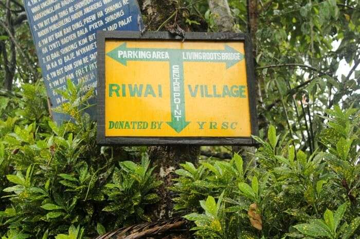 Signboard leading to the Living Root Bridge in Mawlynnong