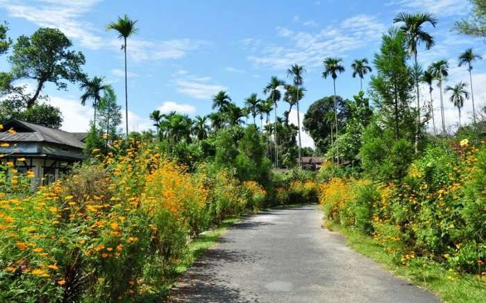 Mawlynnong Village on a clear day