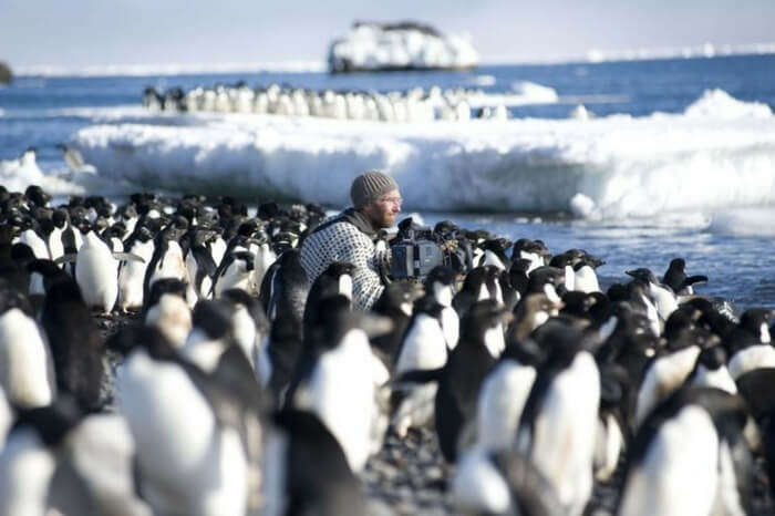Traveler among penguins in a still from the travel documentary Frozen Planet