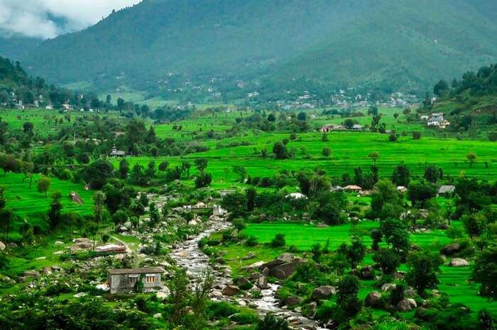 A lush green Karsog Valley near Mandi overlooked by mountains