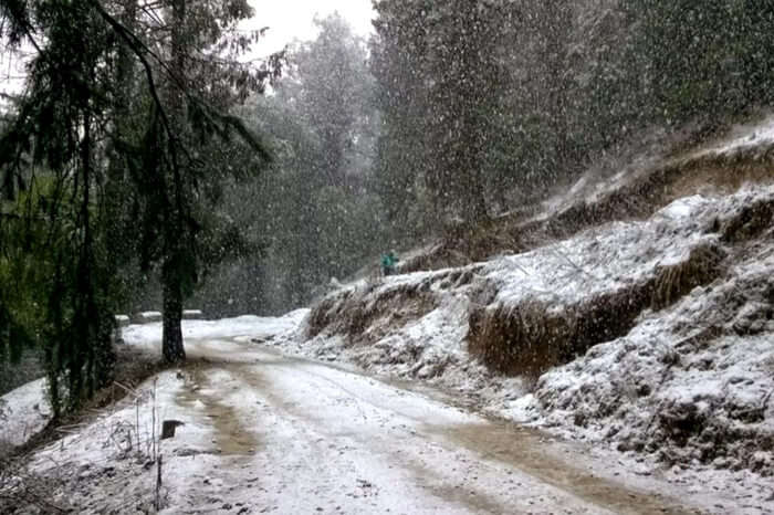 Road leading to Prashar Lake covered with snow