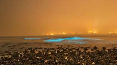 bioluminescence on juhu beach in mumbai