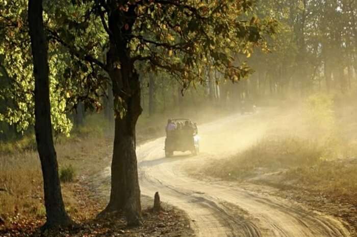 Tourists take a jeep safari through the Kodia Forest in Kanatal