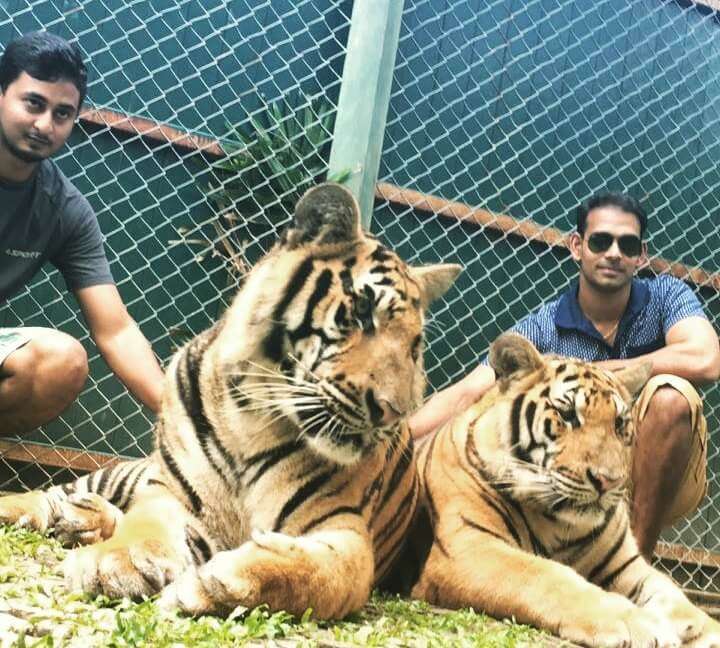 karthik & his friend taking pictures with tigers