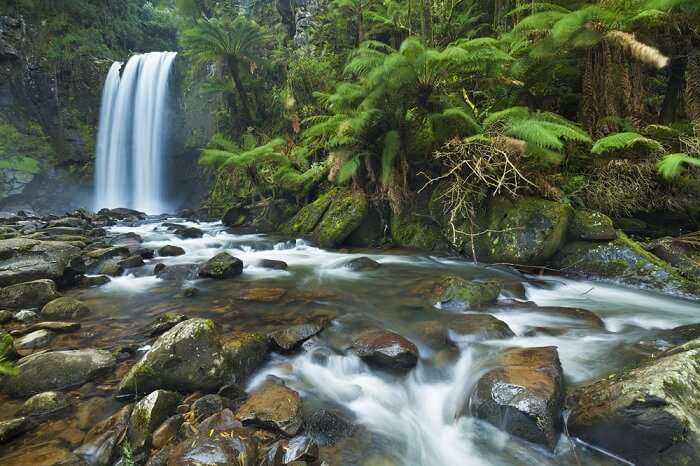 Serene Hopetoun Falls in the Great Otway National Park in Victoria