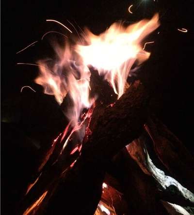 enjoying around a bonfire in bir