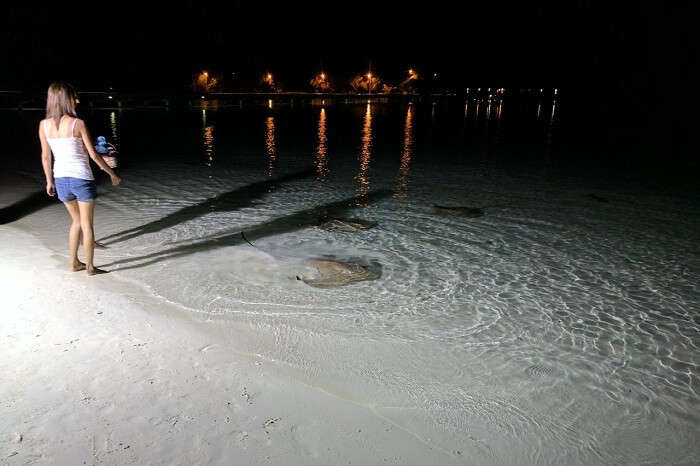 Woman feeding stingrays