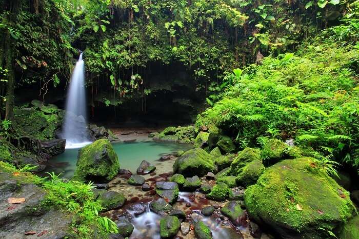 The stunningly beautiful Emerald pool waterfall in Dominica