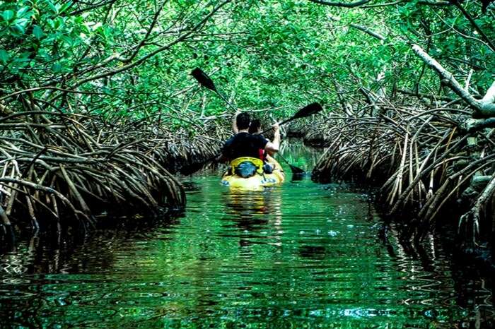 A boat sailing through the mangrove creek in Baratang