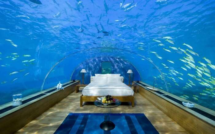 Room in Jules’ Undersea Lodge