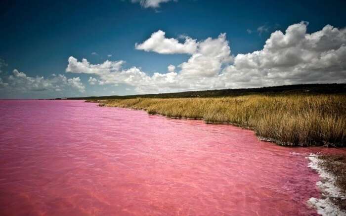 View of Lake Hillier in Australia