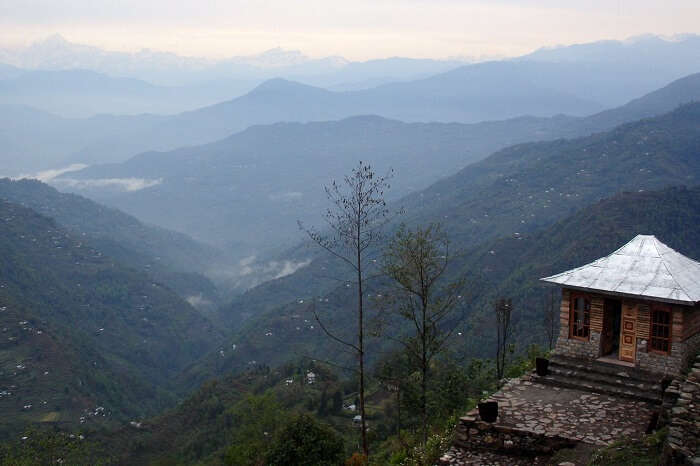 A homestay at the Neora Valley that is one of the most beautiful valleys in India