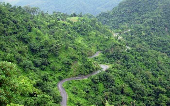 Road to Peora - trekking to this place is one of the favorites activities in Mukteshwar 