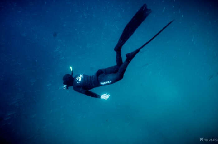  Scuba Diving