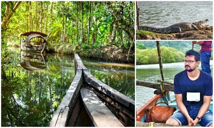 sail the backwaters of goa in cumbarjua canal